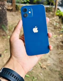 iPhone 12 pta dual physical