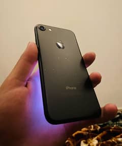 iPhone 7 PTA