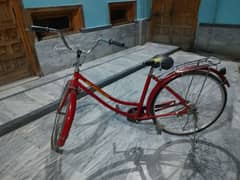 Cycle