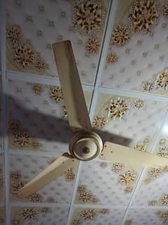 Ceiling Fans