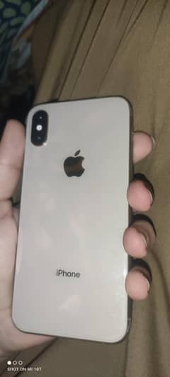 XS GOLDEN NON