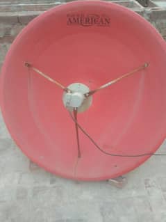 Dish