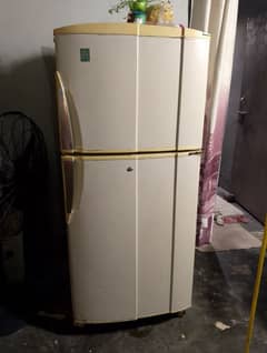PEL midium size fridge