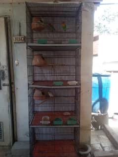 cages and birds