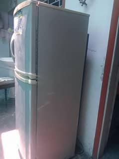 Pel Fridge Double Door