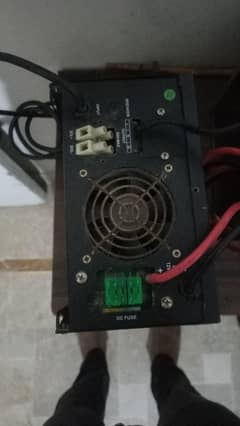 urgent sale