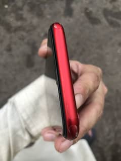 81