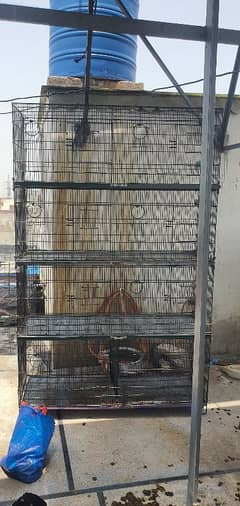 cage 4 portion