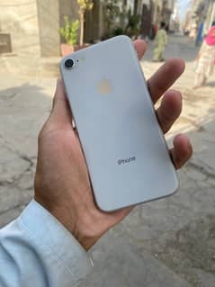 iphone 8 non pta 64gb 10 by 10 condition waterpack