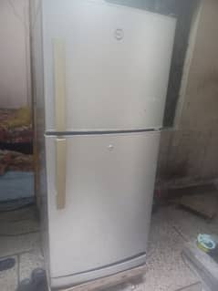 pel fraj colinge ok ha madyam size ha 03084762159