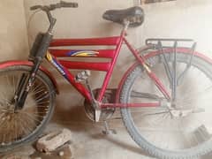 Safari Bike low budget bicycle in dadu