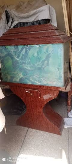 fish equarium