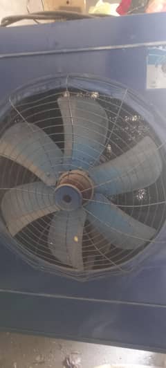 lahori cooler
