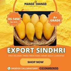 Sindhri 5Kg export quality A+ grade in gift box