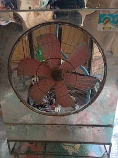 Copper