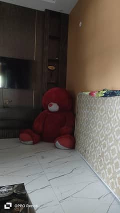 teady bear new lia tha 25k ka jgah ki kami ki wjha sa sale kr rha
