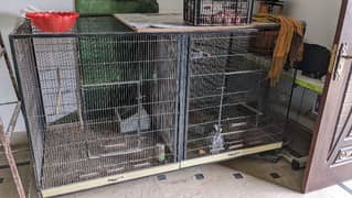 birds cage