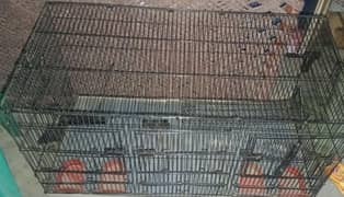 bird cage for sale in cheap price