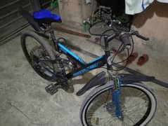 Power speed /Cruise