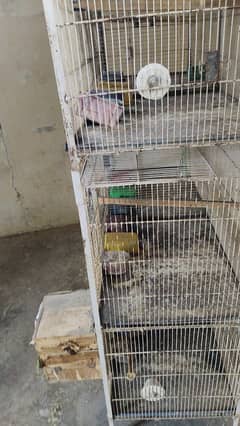 bird cage