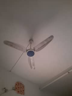 Ceiling