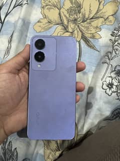 Y17