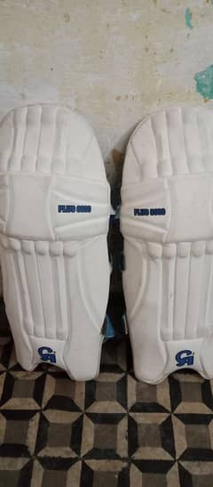 hardball cricket pads with thaye