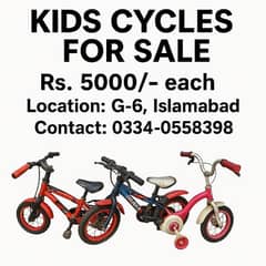 Kids Cycles for sale (4-6 Years)