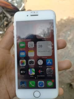 iphone 8 ha