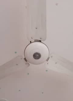 Ceiling