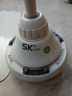 sk fan available for sale