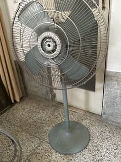 fan