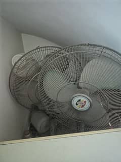 Two Padestal Fans
