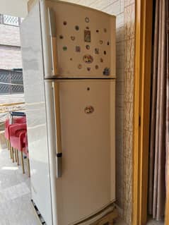 Fridge