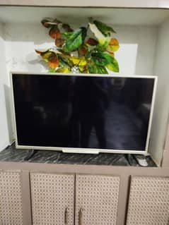 LED