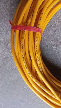 electric