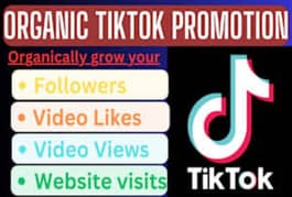 TikTok promotion real come