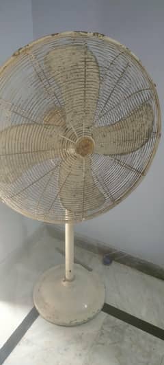 Pedestal