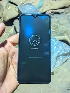 vivo