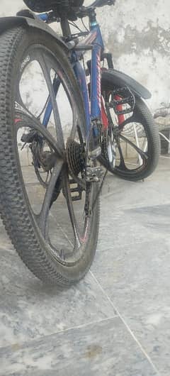best cycle of life