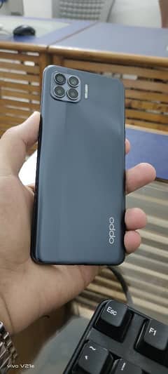 oppo