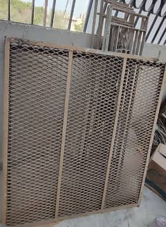 Iron