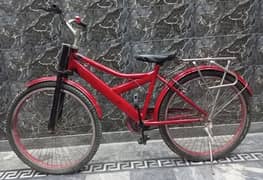 cycle for teenagers