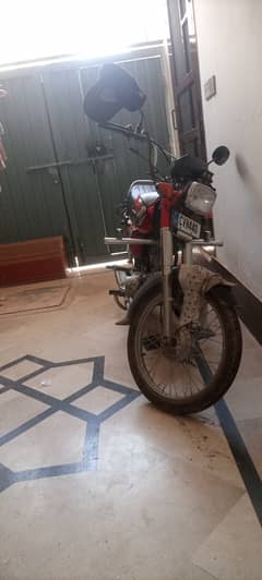 Unique Xtreme UD 70 2024