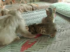 Mother