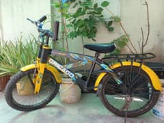 Children Mountain Bike in good condition