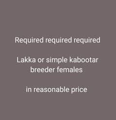 kabootar