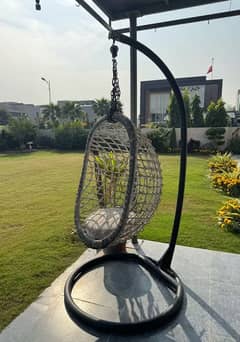Cane swing