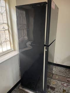 PEL