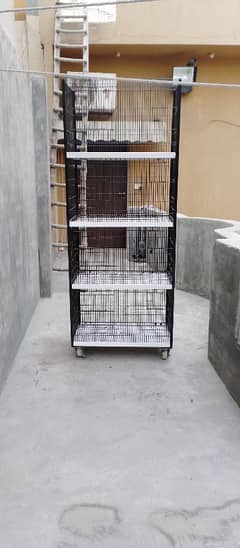 cage for sale 4 portion fixed angle